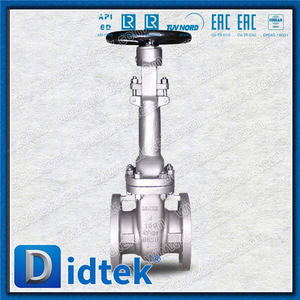 API600 -52 ℃ Vanne de porte cryogénique avec garniture de matériau A351-CF8m n ° 10