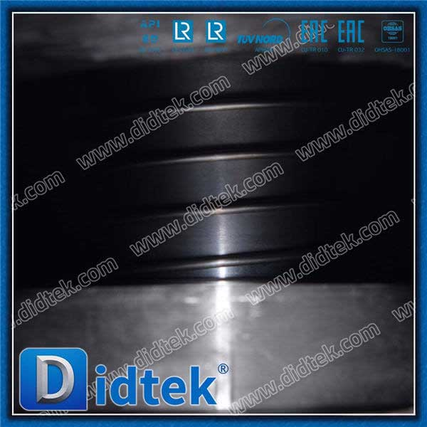 1.0619 SDNR Angle Globe Cask Valve