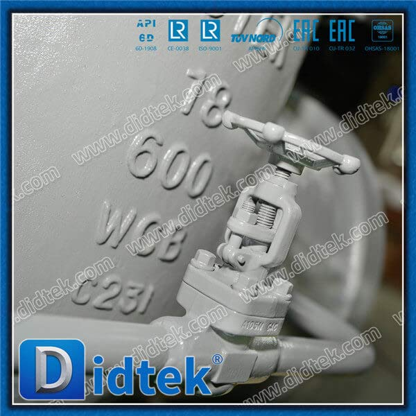 Steam BW 18 '' Vanne de porte WCB avec contournement
