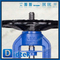 DIN 1.0619 DN65 PN40 Long Blow Globe Valve