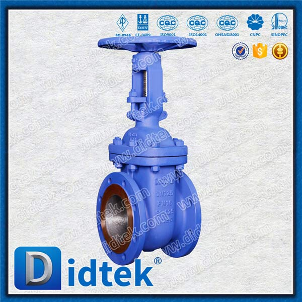 DIN GATE VALVE-DN125, GS-C25, roue à main, bride