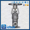 Haute pression F22 TRINE MATÉRIELLE FULL STL BW Ends Globe Valve