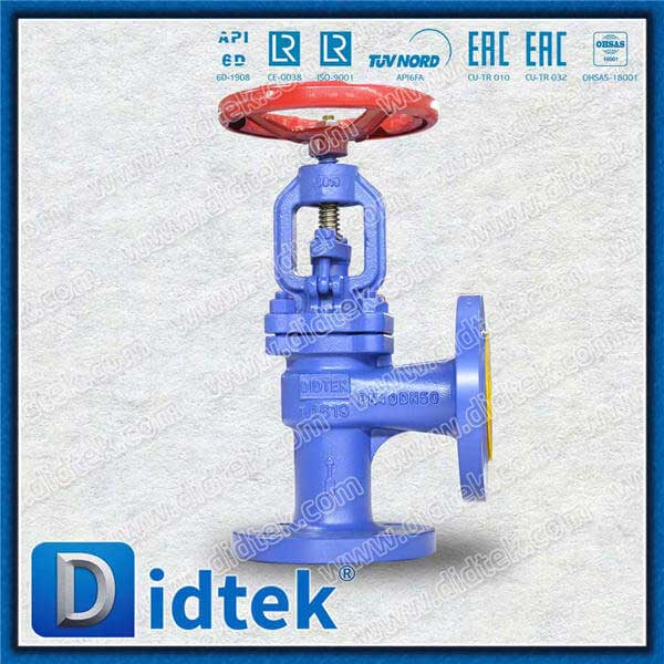 1.0619 SDNR Angle Globe Cask Valve