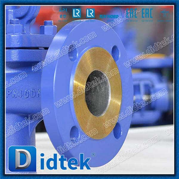 1.0619 SDNR Angle Globe Cask Valve