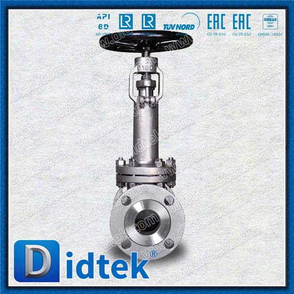 Valve de globe cryogénique avec garniture de matériau F316 n ° 10