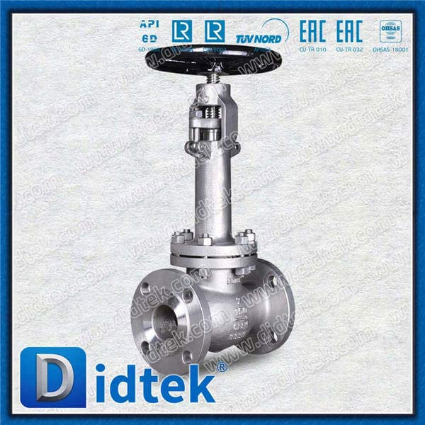 Valve de globe cryogénique avec garniture de matériau F316 n ° 10