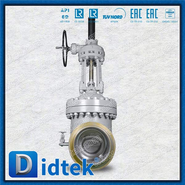 Steam BW 18 '' Vanne de porte WCB avec contournement