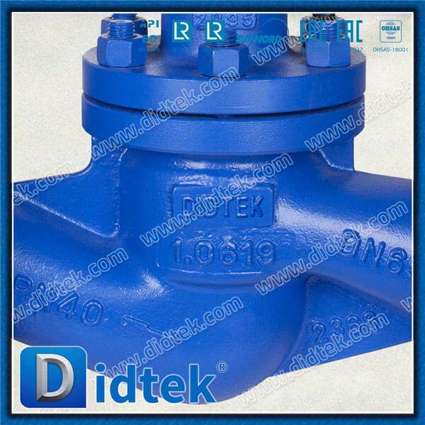 DIN 1.0619 DN65 PN40 Long Blow Globe Valve