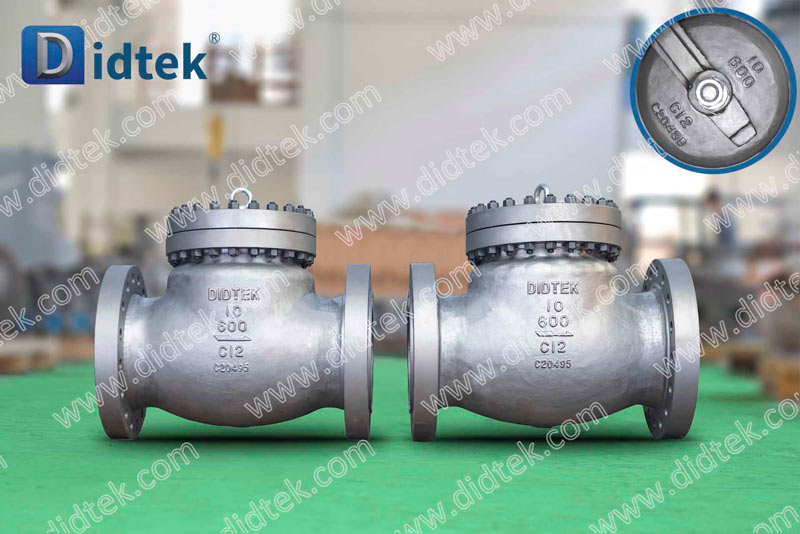 Check Valve Clapet anti-retour