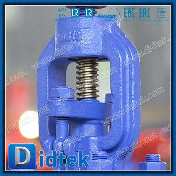 1.0619 SDNR Angle Globe Cask Valve
