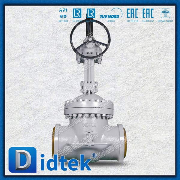 Steam BW 18 '' Vanne de porte WCB avec contournement
