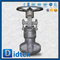 Haute pression F22 TRINE MATÉRIELLE FULL STL BW Ends Globe Valve