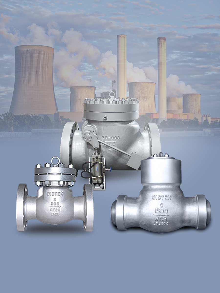 Check Valve Clapet anti-retour