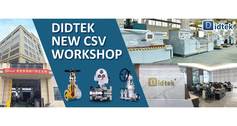 Diditek New CSV Workshop 2020