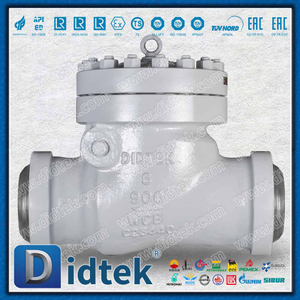 Clapet anti-retour à battant API6D 900LB avec connexion BW