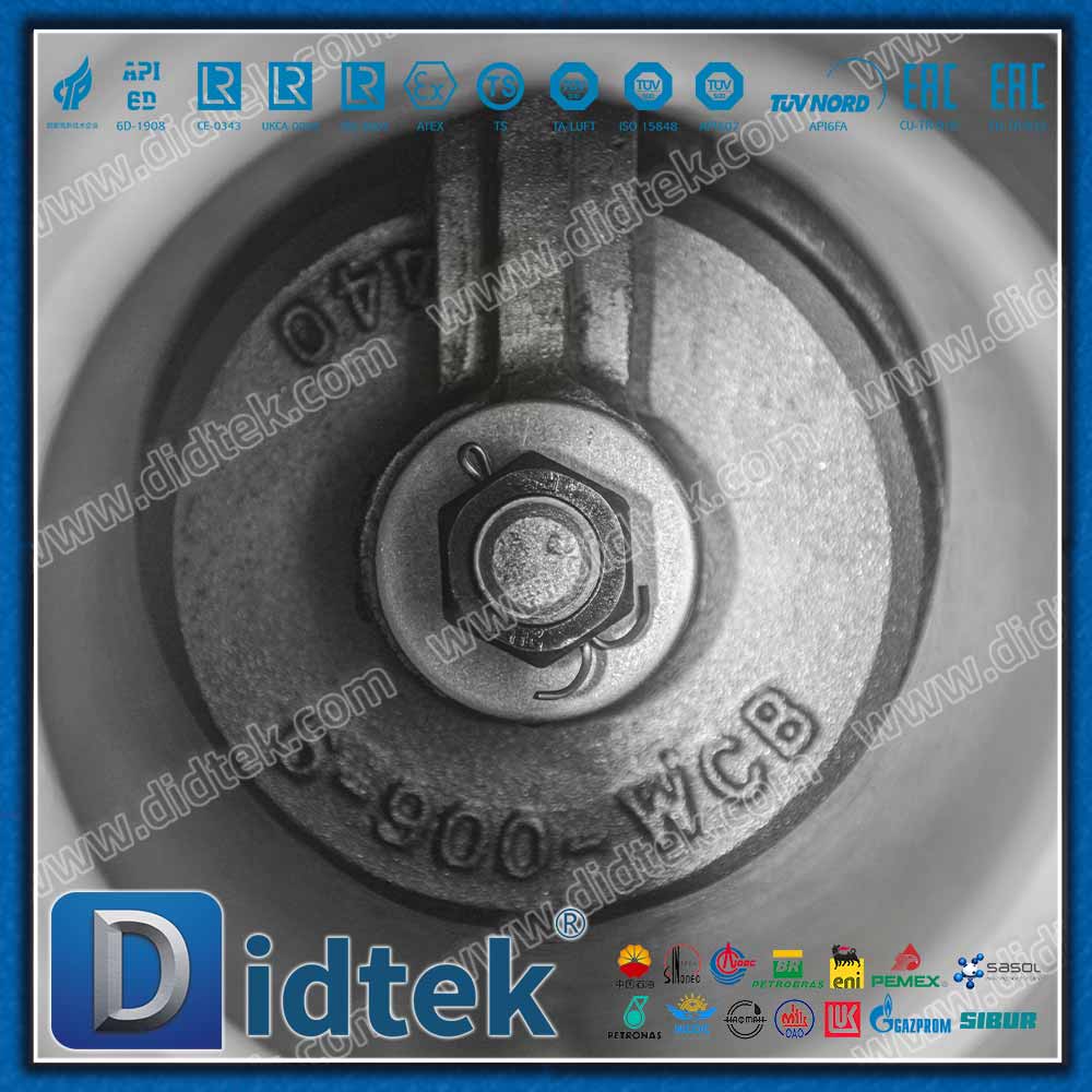 Clapet anti-retour à battant API6D 900LB avec connexion BW