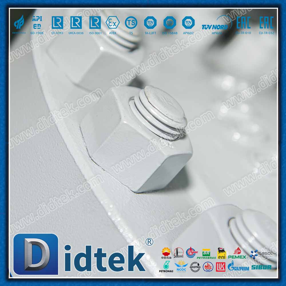 Clapet anti-retour à battant API6D 900LB avec connexion BW